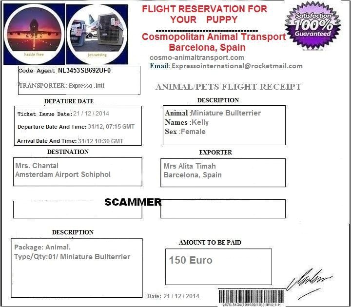 Fake Pet Shipping Companies Scamwarners Com View topic Fake Pet Shipping Companies