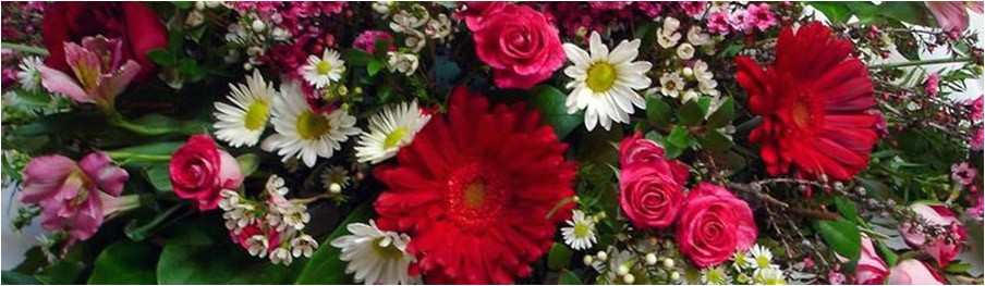 florist highlands ranch info