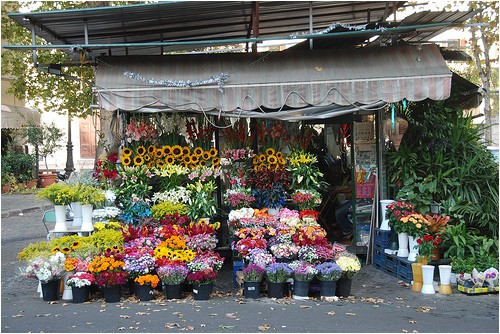 Floristerias En San Salvador Youtubetaller Gratis Floristeria Floristeria En San