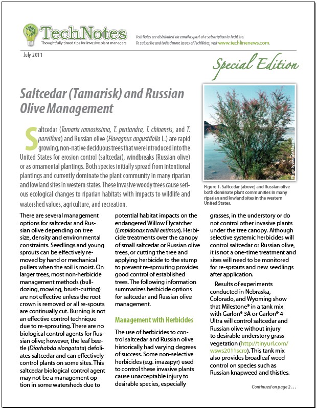 saltcedar and russian olive management