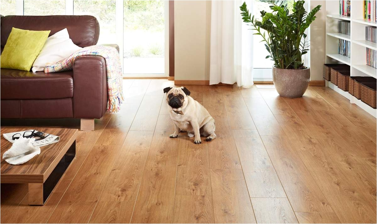 Good Flooring for Dogs the Best Flooring for Dogs Looking for the Perfect Option