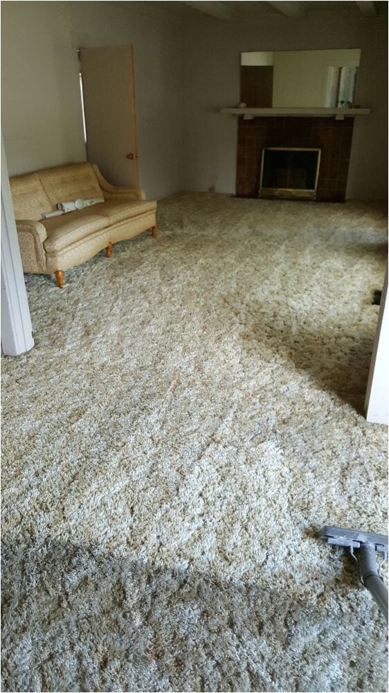 high performance carpet cleaning yuba city 2 select cff0hqyhkqvptyopkdrqjg