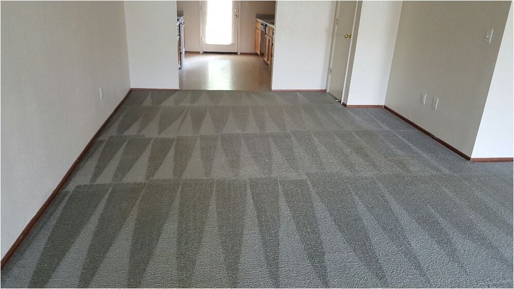 high performance carpet cleaning yuba city 2 select kaji8xnqc5nhutfko73cua