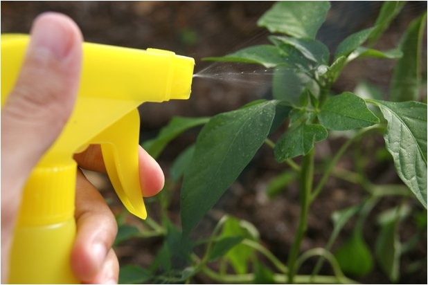 how 5163314 make homemade bird repellent spray