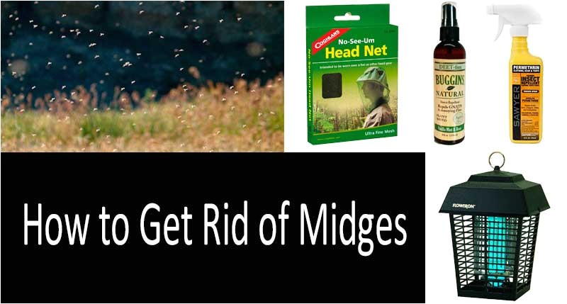 240 how to get rid of midges