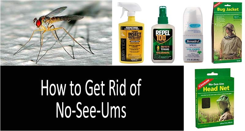 259 how to get rid of no see ums