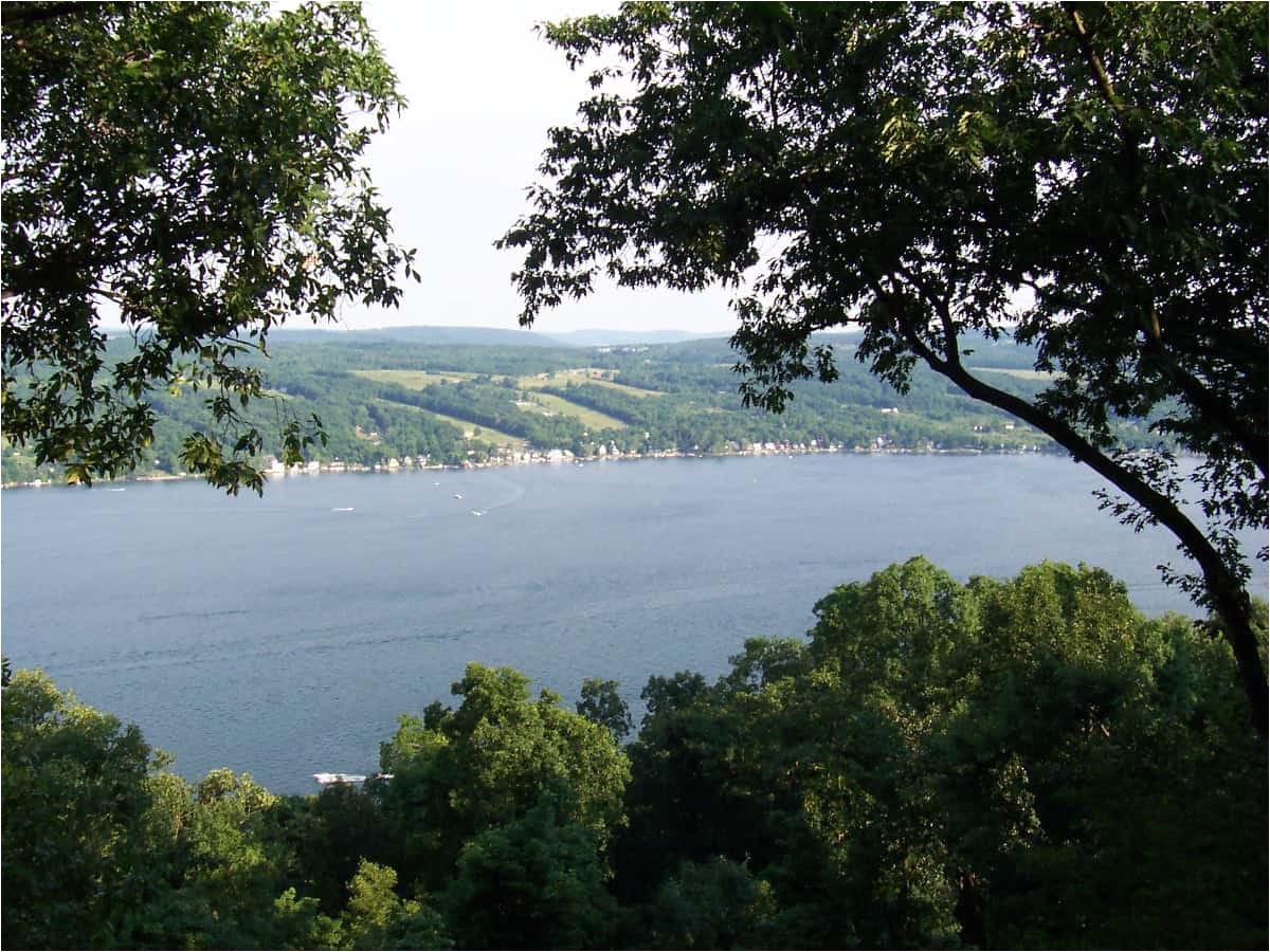 keuka lake real estate