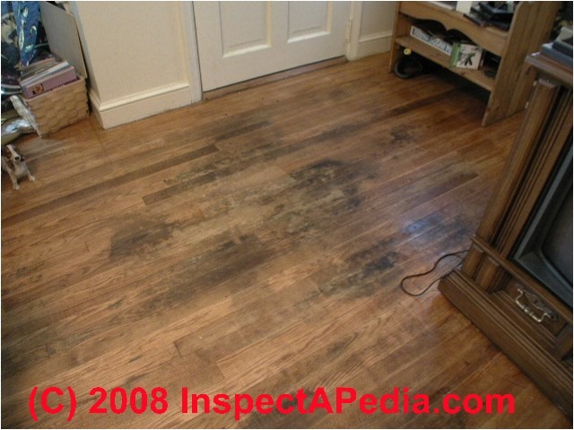 Laminate Flooring Dog Pee Floor How to Clean Dog Urine From Hardwood Floors Floor