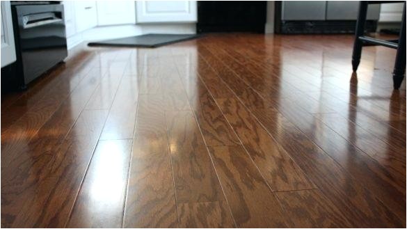 Laminate Flooring Good with Dogs Laminate Flooring with Dogs Daring Best Laminate Flooring