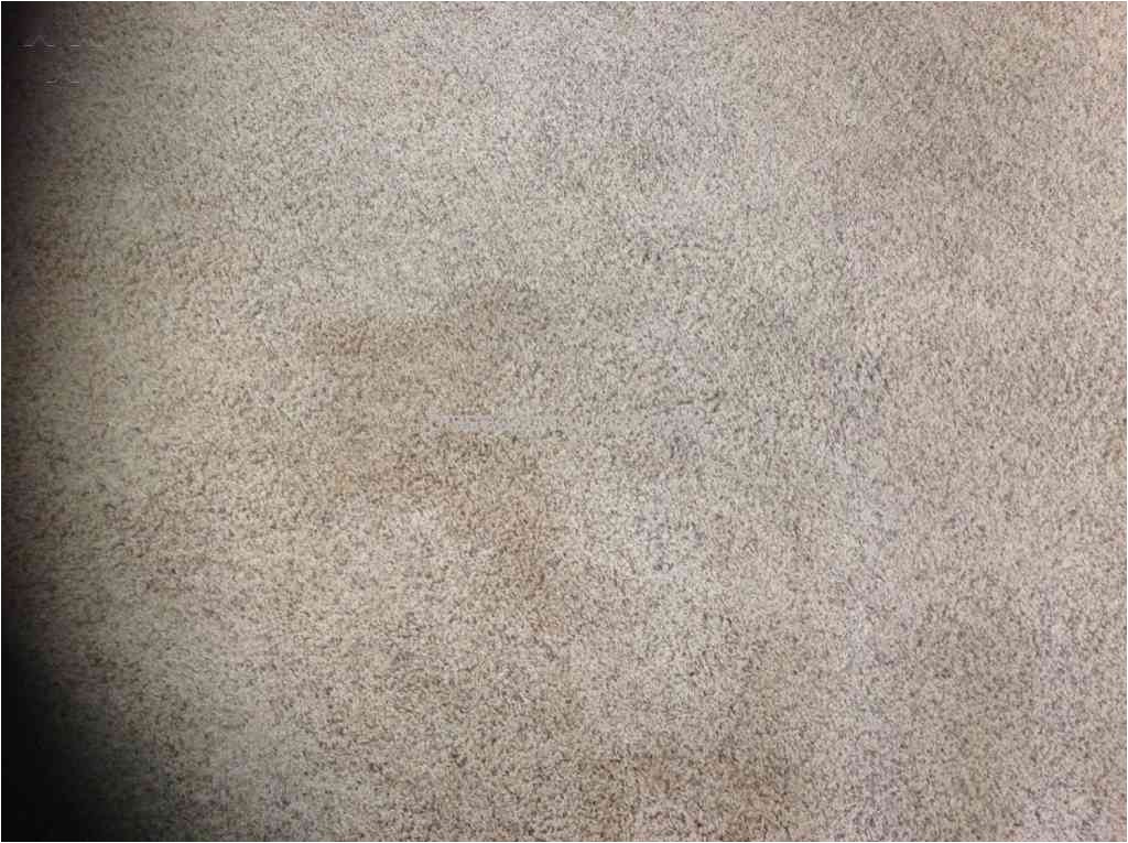 smartstrand carpet complaints