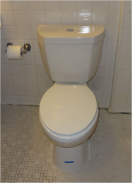 niagara n7717 stealth toilet review with pictures and comments 49930