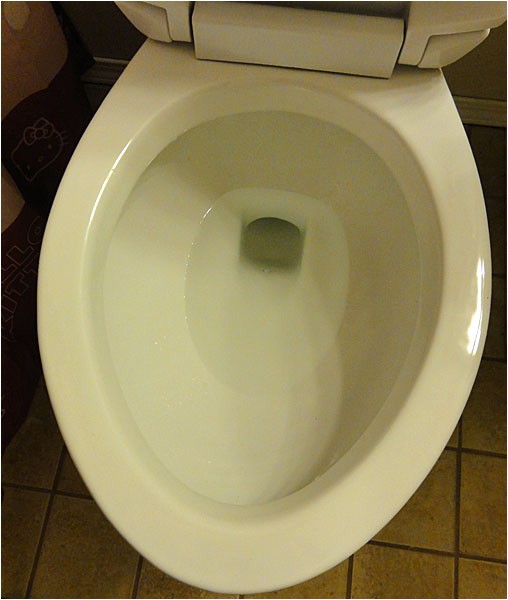 niagara n7717 stealth toilet review with pictures and comments 49930