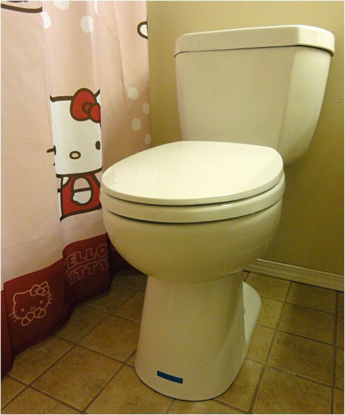 Niagara Stealth toilet Review Niagara N7717 Stealth toilet Review with Pictures and