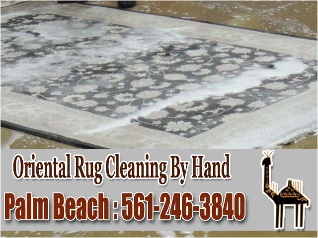 coit rug cleaning boca raton