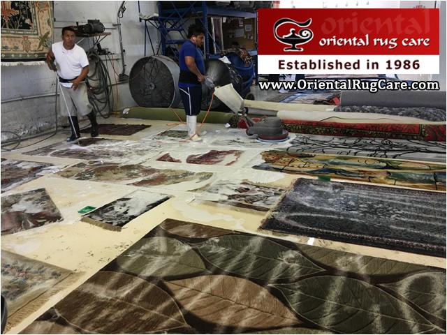 oriental rug cleaning boca raton