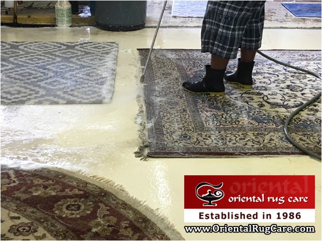 oriental rug cleaning boca raton