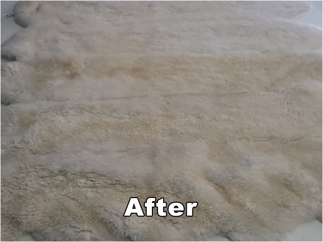 oriental rug cleaning boca raton