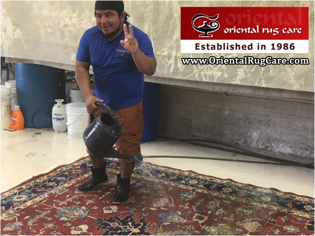 proper rug cleaning boca raton