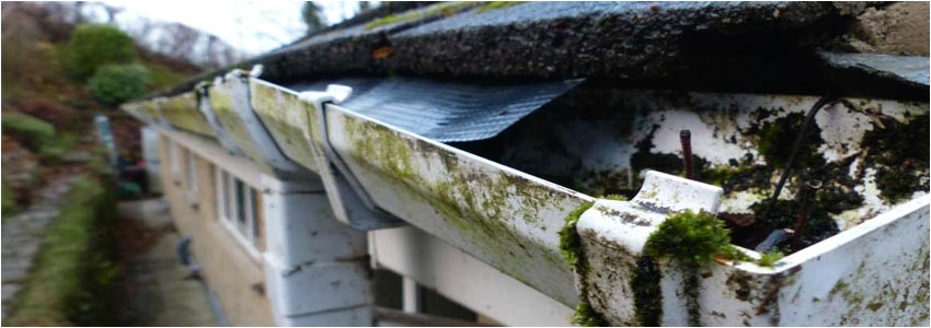 Orlando Seamless Gutters Llc orlando Fl Gutter Repair orlando Fl Choice Gutters Llc