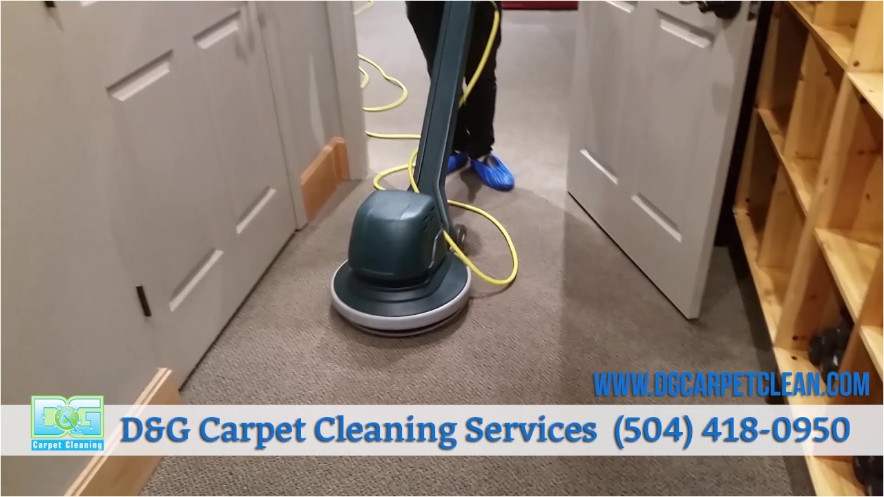 vlm dry commercial carpet cleaning by d g carpet cleaning