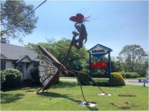 pr00000000000000348632 pest control company in nj unveils praying mantis sculpture at bugfest 2016