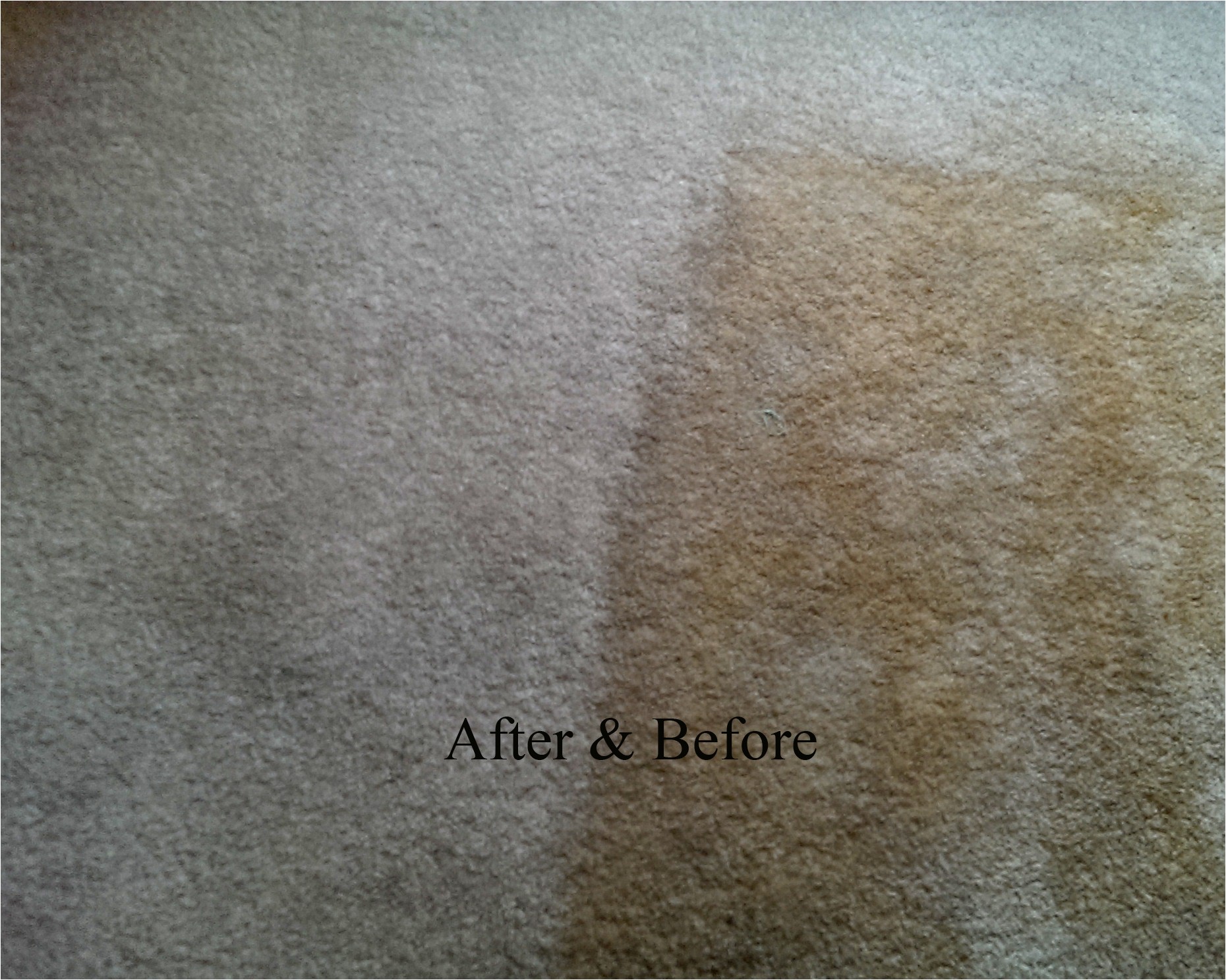 personal touch carpet cleaning 464119519