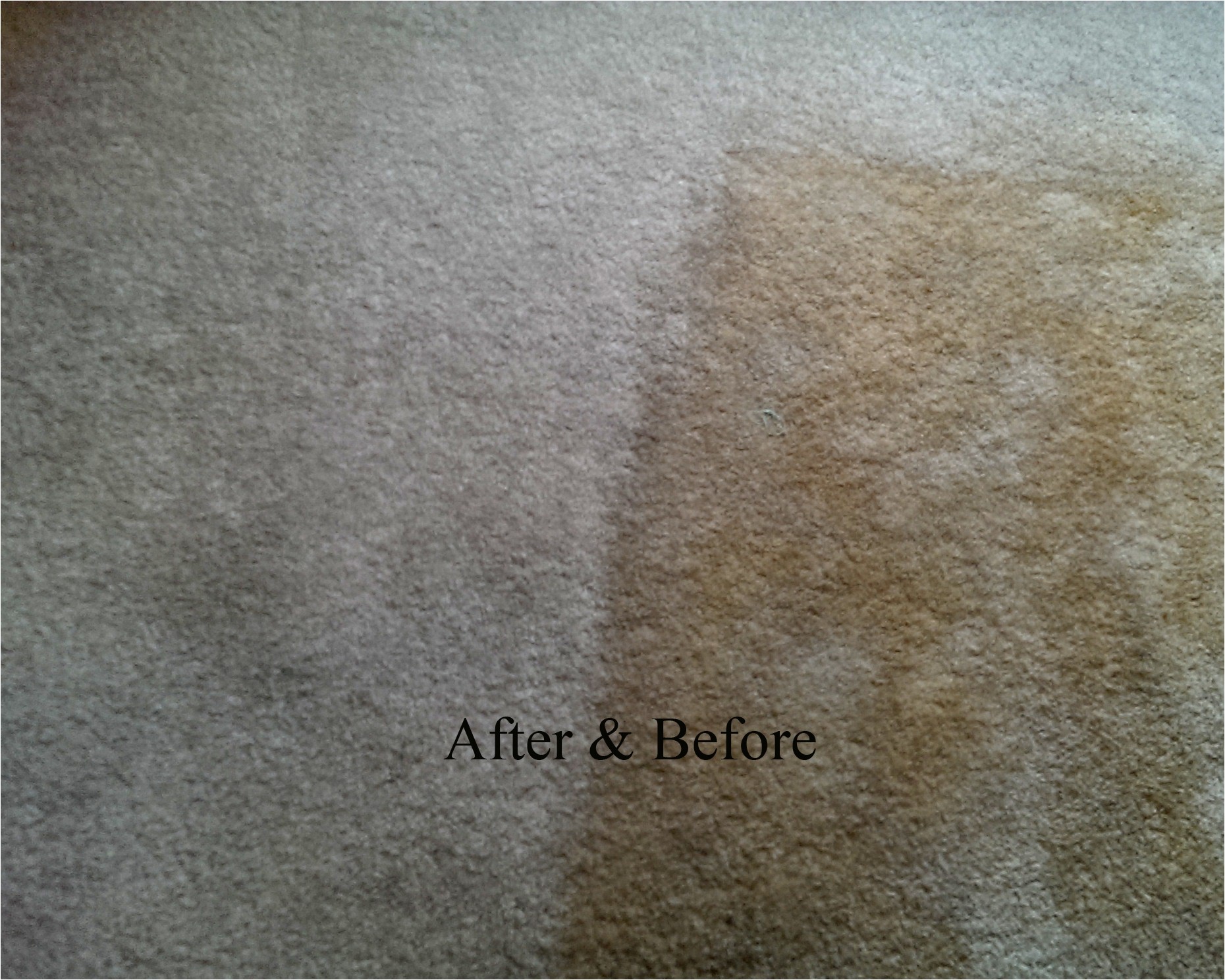 Personal touch Carpet Cleaning Chillicothe Ohio Personal touch Carpet Cleaning Chillicothe Oh 45601 Yp Com