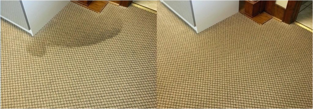 carpet cleaning york pa personal touch specials stanley steemer inside stanley steemer carpet cleaning specials