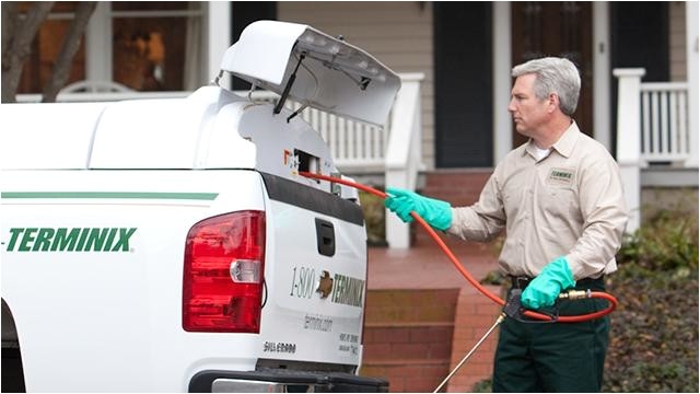 Pest Control In Davenport Iowa Terminix Davenport Ia Company Information