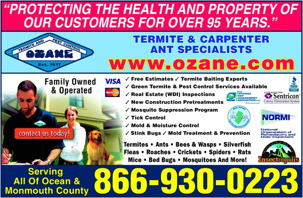 Pest Control toms River Nj Ozane Termite Pest Control toms River Nj 08755