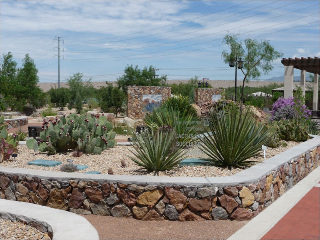 video cactus succulent garden el paso botanical garden