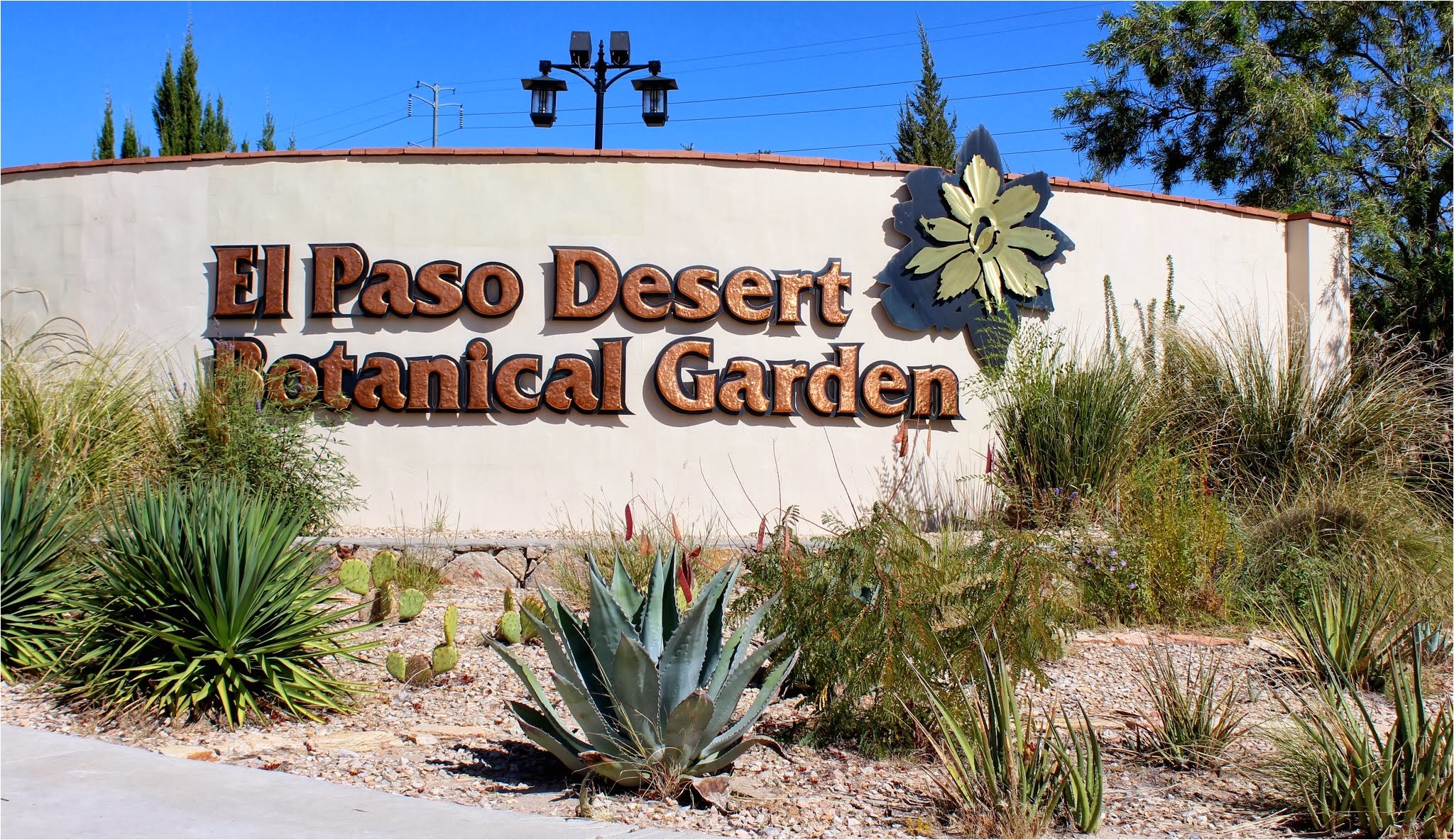 el paso desert botanical entrance wall