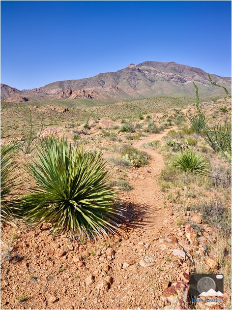 franklin mountains state park