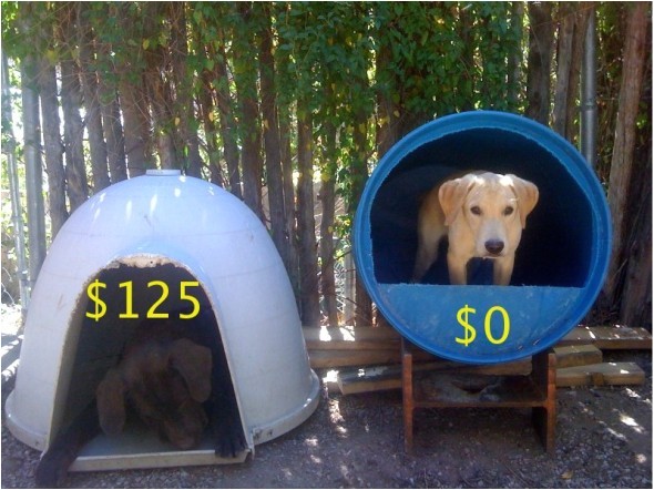 Plastic Barrel Dog House Raising toot and Roxy Dog House Idea for Cheap