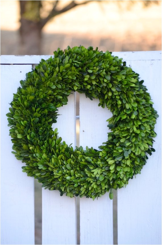 Preserved Boxwood Wreath wholesale Large Preserved Boxwood Wreath Spring Wreath Winter