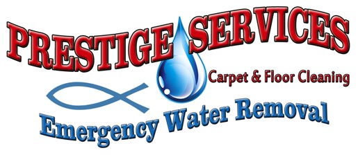 Prestige Carpet Cleaning Summerville Sc Water Damage Removal Carpet Cleaning Charleston Goose