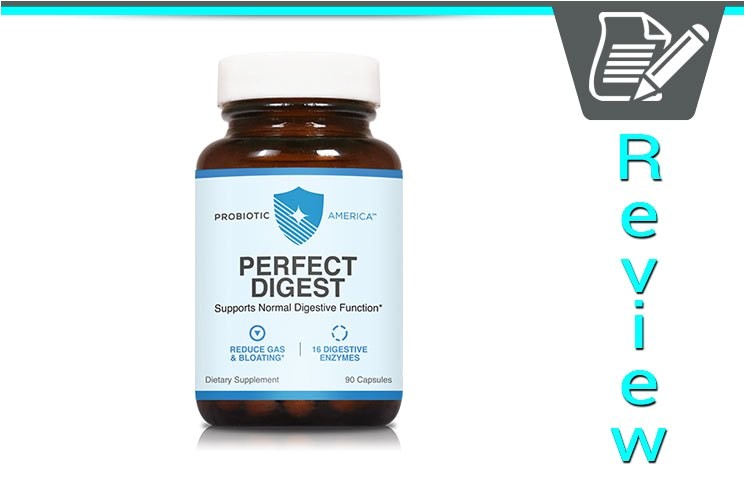 perfect digest probiotic america