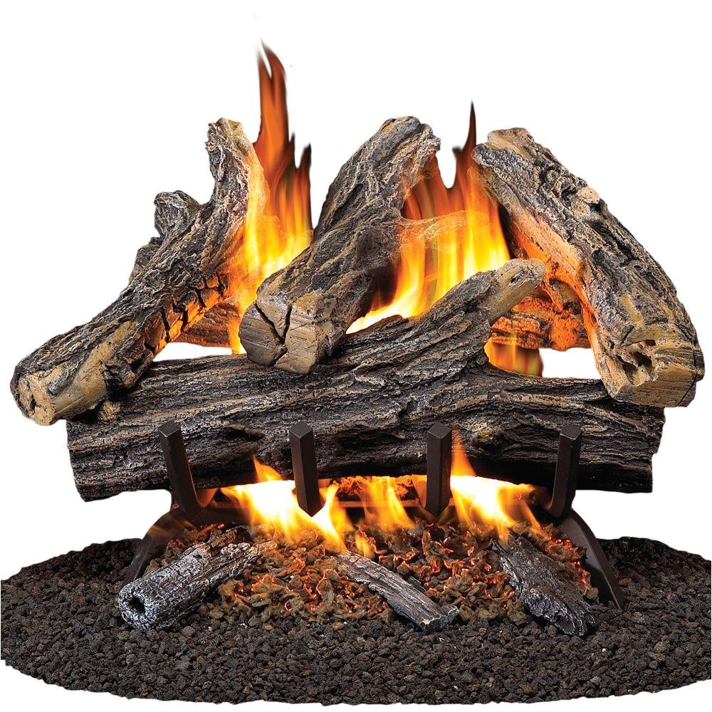 Procom Vent Free Gas Logs Reviews Procom 18 In Vented Natural Gas Fireplace Log Set Wan18n