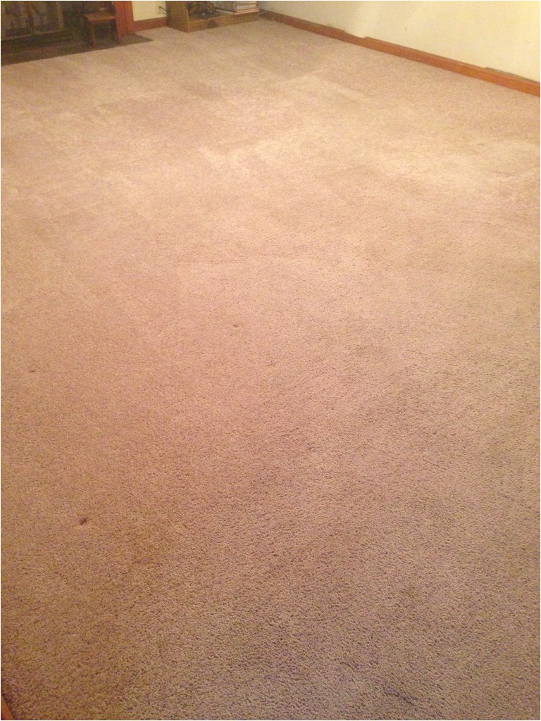 carpet cleaning fredericksburg va