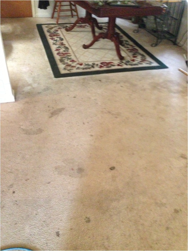 carpet cleaning fredericksburg va