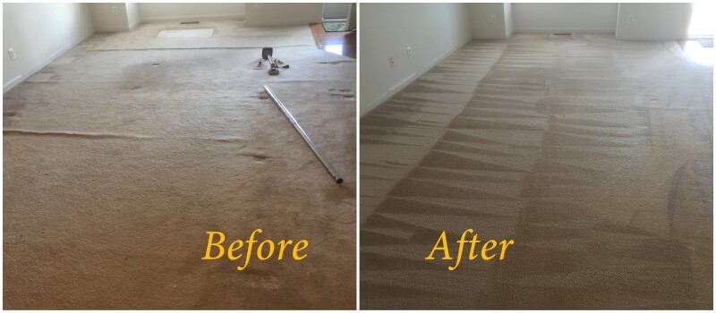 carpet stretching cleaning stafford va