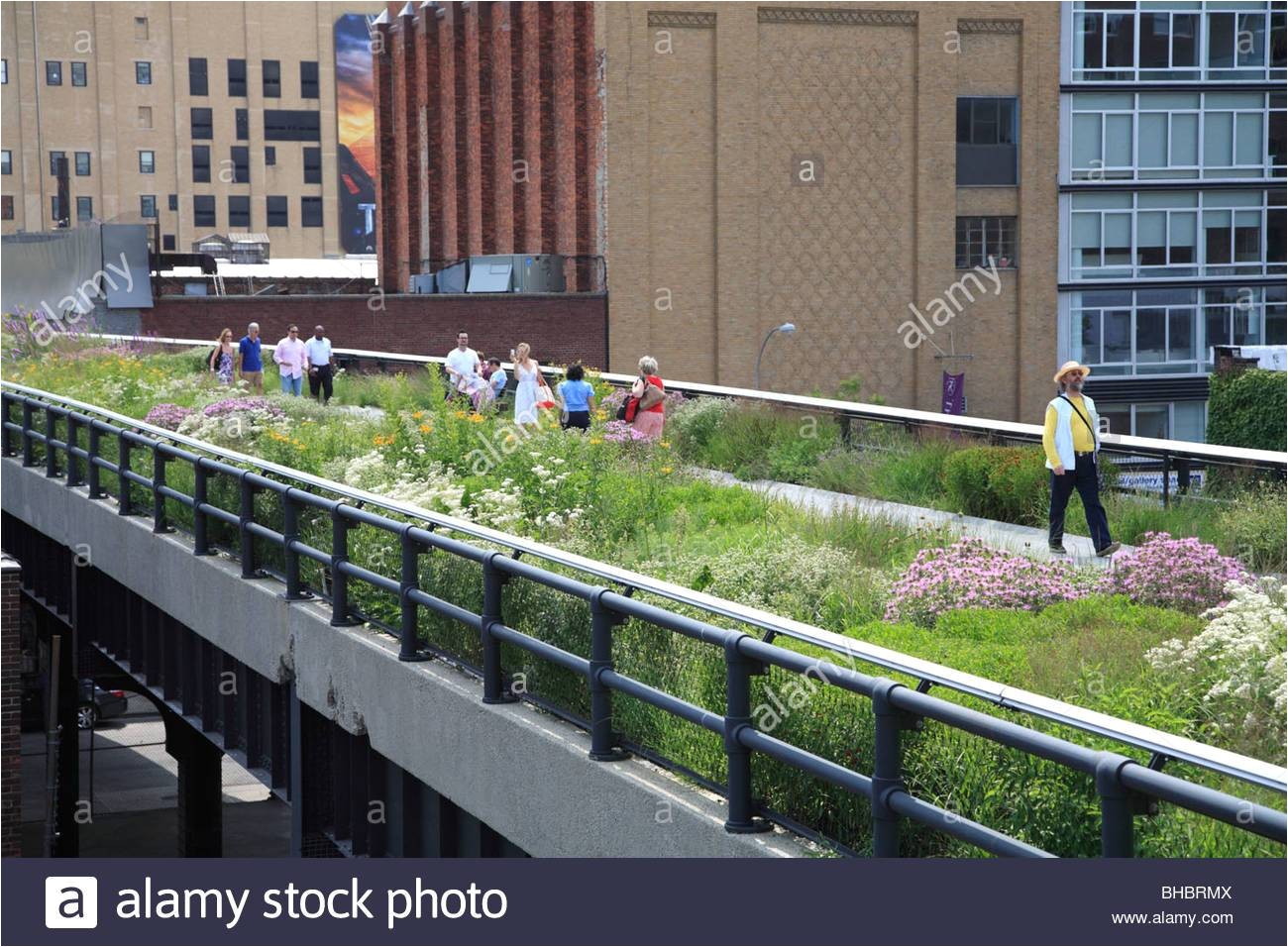 highline elevated public park manhattan new york city