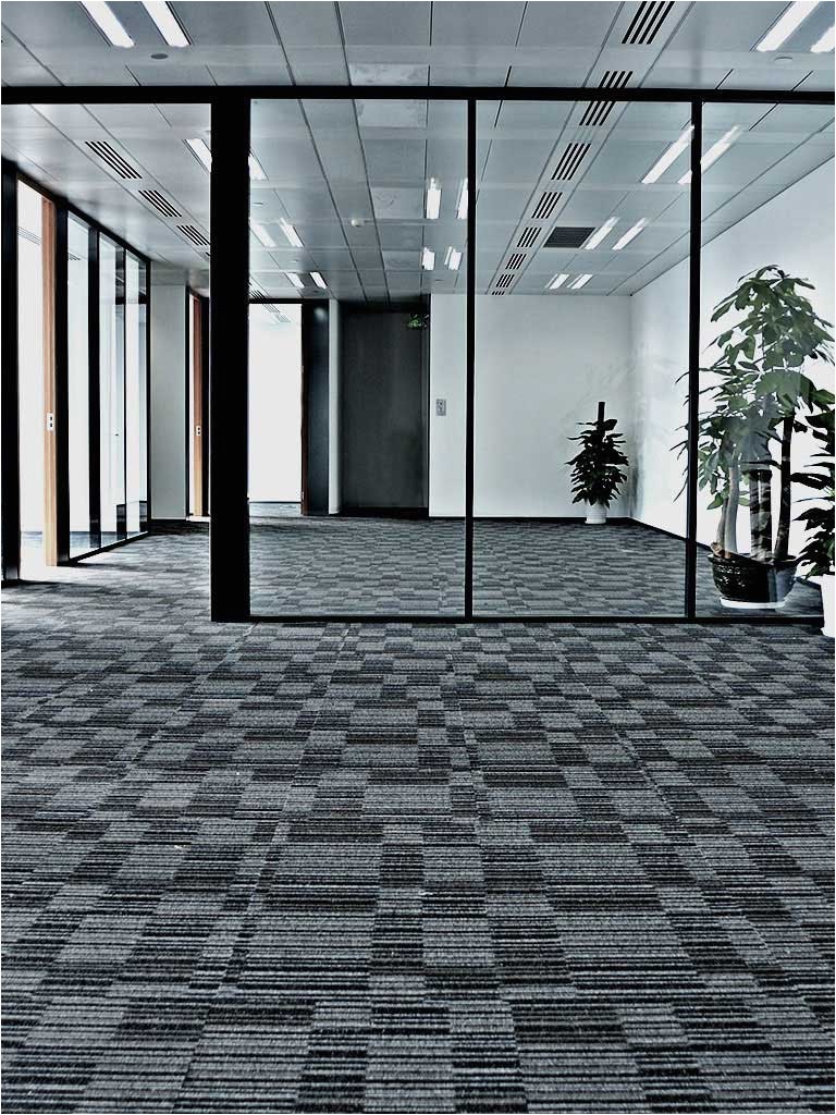 carpet cleaning residential carpet cleaning and commercial carpet cleaning in albuquerque rio rancho and los ranchos de albuquerque