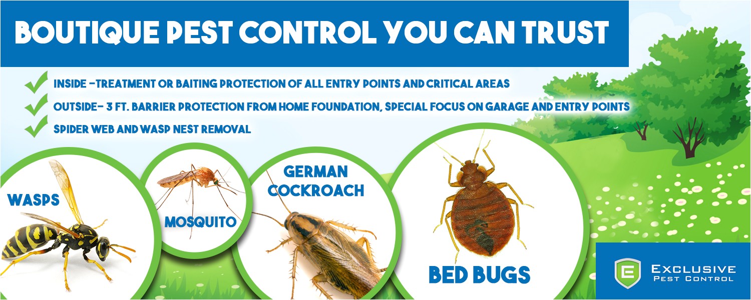 charleston pest control services