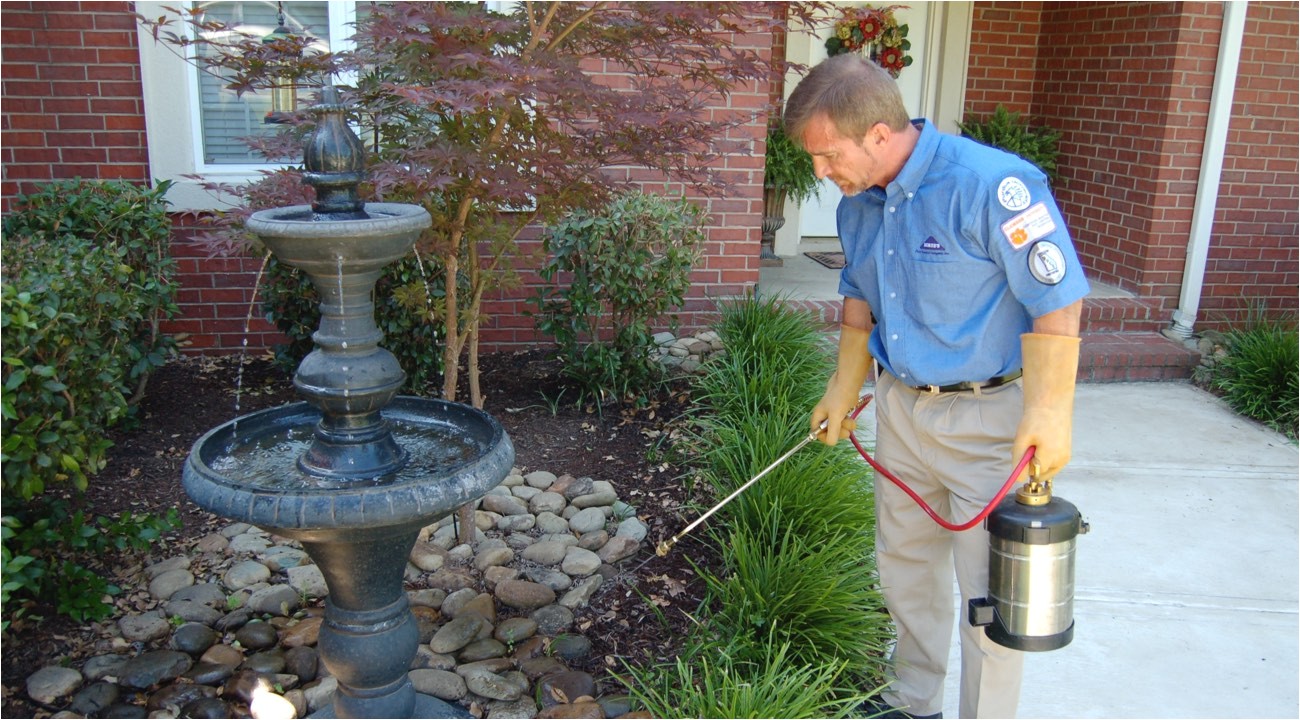 Rodent Control Charleston Sc Pest Control Charleston Pest Control Services Charleston Father