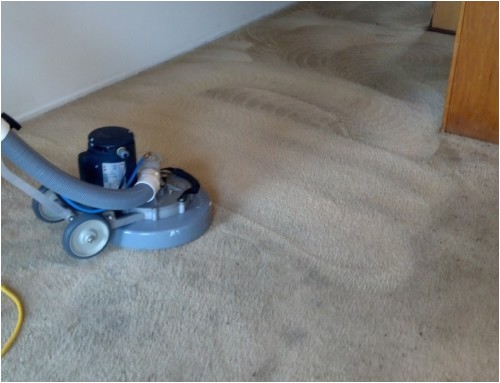 fort walton beach carpet cleaning