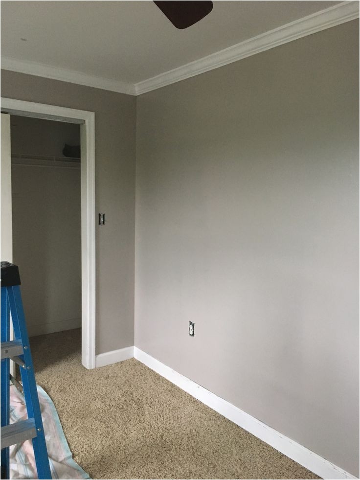 Sherwin Williams Adley Grey the 25 Best Greige Paint Ideas On Pinterest Greige