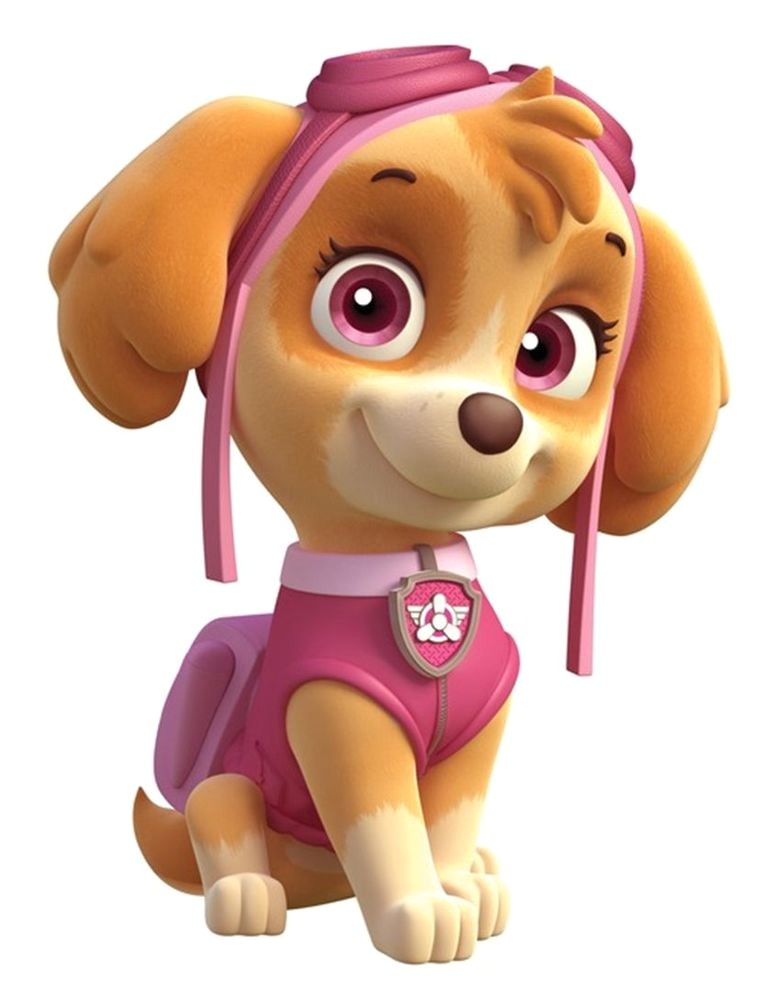 Skye Paw Patrol Iron On Transfers Paw Patrol Skye Iron On Transfer 5 Quot X6 75 Quot for Light