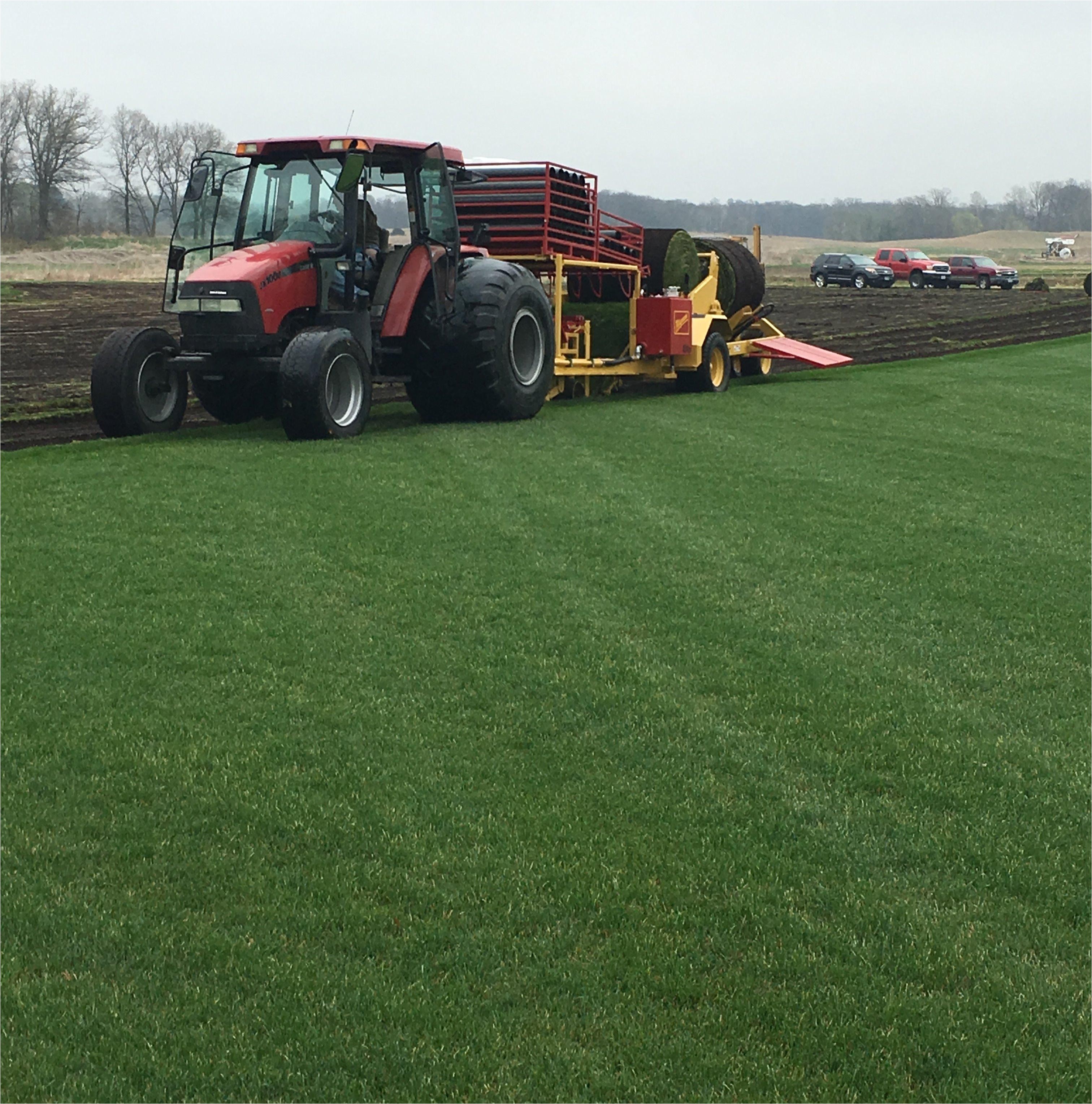 10752953 b b hoffman sod farms