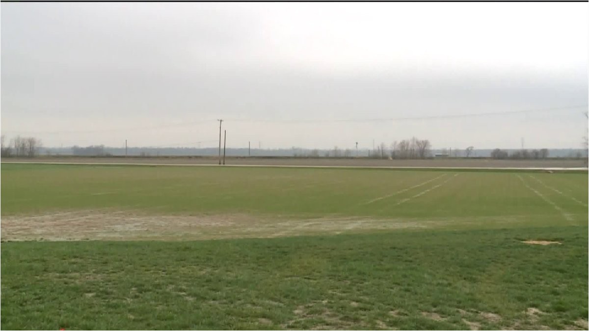 too much rain preventing farmers from cutting sod